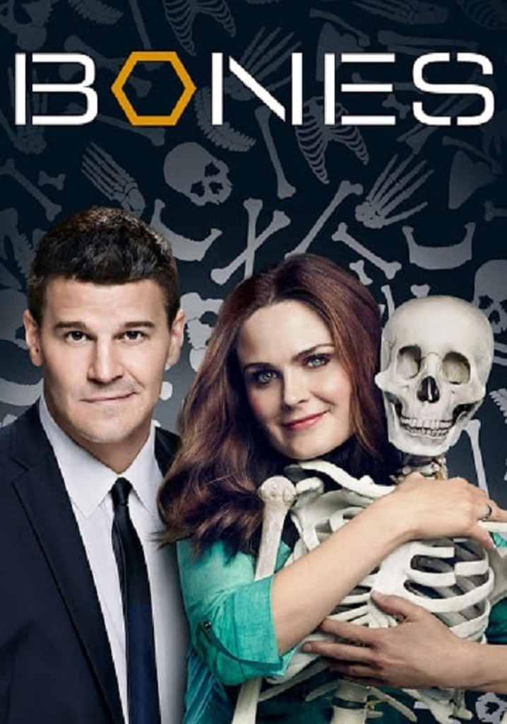 Bones Staffel 4 Online Anschauen Bones - Die Knochenjägerin - Stream: Jetzt online anschauen